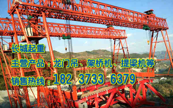 西藏山南龍門吊廠家