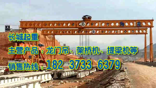 四川達州龍門吊公司30年專業廠家