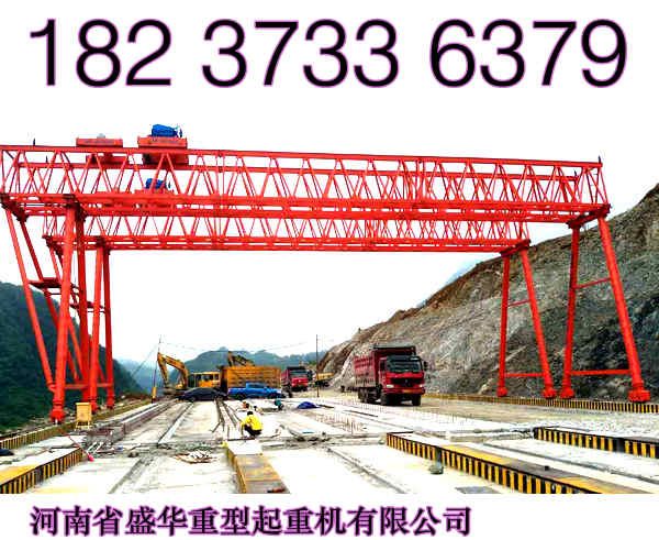 海南海口龍門吊廠家終于客戶滿意