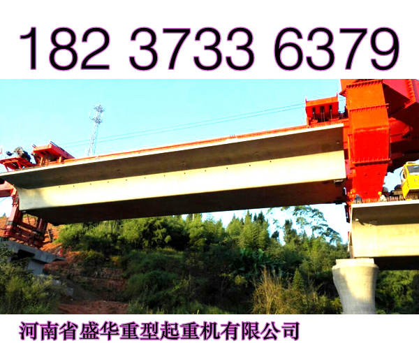 四川綿陽龍門吊廠家卓越商譽