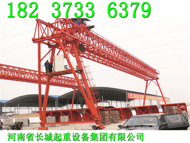 云南西雙版納龍門吊廠家國內(nèi)知名起重