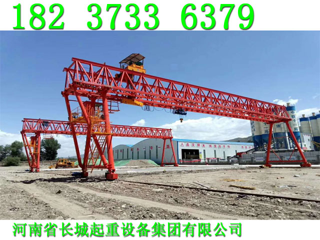 天津龍門吊廠家市場不斷擴(kuò)大