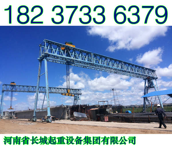 山東菏澤龍門吊廠家介紹起重機安全裝置